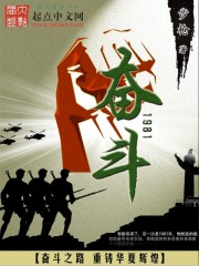 奋斗1981小说封面
