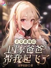 上交系统后,国家爸爸带我起飞了